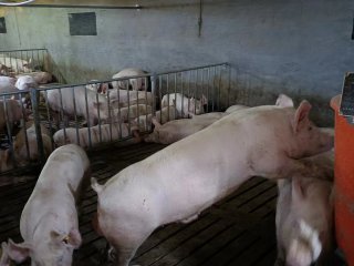 案例展示