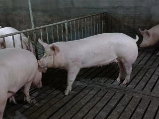 案例展示