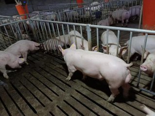 案例展示
